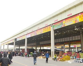 别慌,新的 菜篮子 南宁农产品交易中心今天试业啦