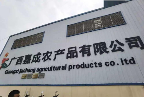 维冠动态 我所与国际医学开放试验区 中国 防城港市筹备委员会组成调研组开展专题调研活动