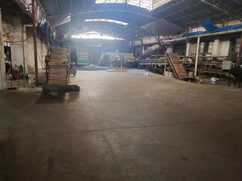 南宁横州市两个工厂同日被拍卖,拍出988万高价